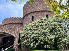 -J Create城市露营咖啡·简餐·宠物(上海动物园店)