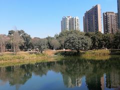 -四海公园(南山区)