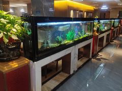 -水立方国际汤泉(六一中路店)