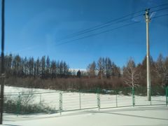 -塞罕坝国家级自然保护区