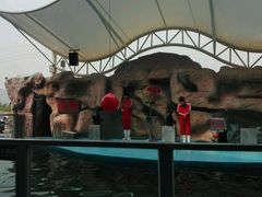 -泉州海丝野生动物世界