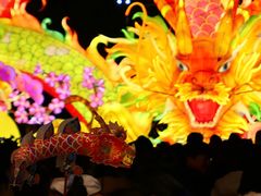 -武汉园博园(武汉自然博物馆)