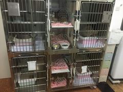 -丹景宠物医院·全科·老年病·牙科(武昌诊疗中心)