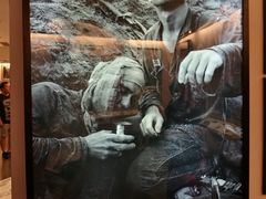 -胡志明市美术馆