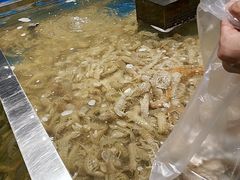 -盒马鲜生(昆城店)