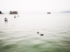 -西湖外事游船(湖滨二公园外事游船码头)