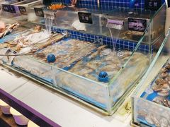 -加餐海鲜自助餐厅(福清万达店)