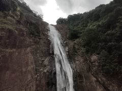 -桐君山春江扬帆码头