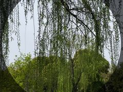-闵行文化公园-停车场