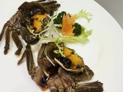 -王宝和酒家(黄浦店)