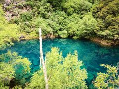 -叠溪松坪沟景区