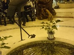 -热带雨林汗蒸馆(汶水东路店)