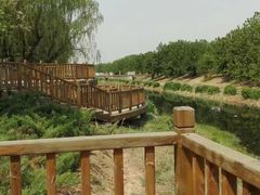 -御林古桑园