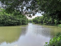 -海珠湖公园