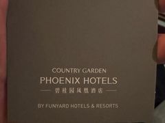 -随州碧桂园凤悦凤凰酒店