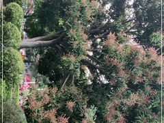 -水濂山森林公园