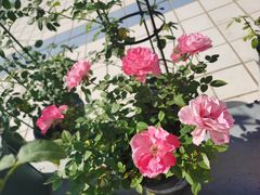 -第三空间·趣味桌游·轰趴.室内CS.剧本杀(大武汉1911店)