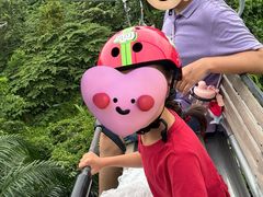 -圣淘沙天际线斜坡滑车