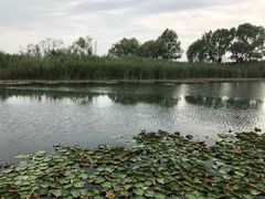 -太湖湖滨国家湿地公园-停车场