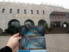 -自贡恐龙博物馆