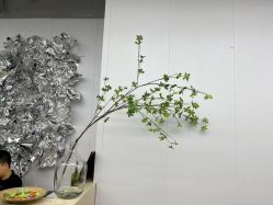 -茶发Salon·烫发染发理发