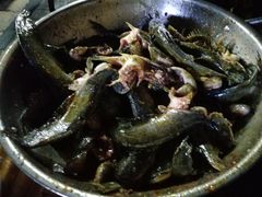 -金海椒罐罐鲢鱼(东方桂苑店)