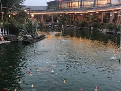 -大门水乡·顺德菜