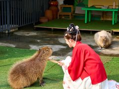 -盈香心动乐园