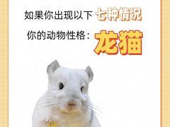 -博特宠物医院24h犬猫全科.骨科·异宠