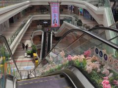 -大兴滨河森林公园