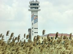 -上海吴淞炮台湾国家湿地公园
