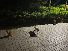 -招商银行(上海常德支行)