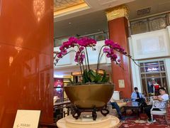 -北京中国大饭店