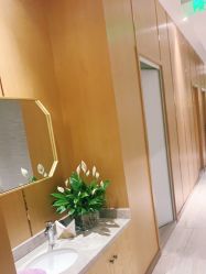-苑苑vbeauty科技美容SPA