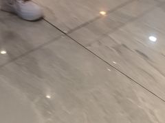 -北京派仕佳德动物医院·超导核磁·CT·神经科·骨科·内外科·急重症管理中心
