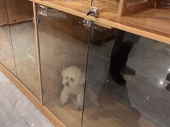 -忠犬公馆(月亮湾店)