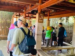 -九曲溪竹筏码头