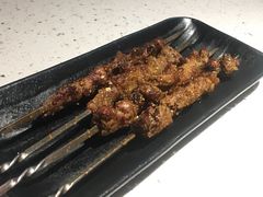 热气羊肉串-京韵胡同·酱香羊蝎子火锅涮肉(长寿路店)