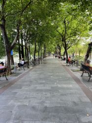 -小鲤鱼寻宝记·AR亲子户外剧本闯关(广州东山湖公园店)