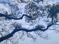 -广州市白云山风景名胜区