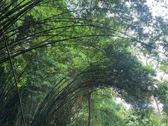 -凤栖山
