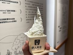 -野人先生Gelato(上海长宁龙之梦店)