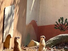 -杭州少年儿童公园