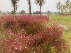 -汉长安城未央宫国家考古遗址公园