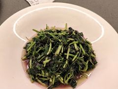 -西湖文化广场