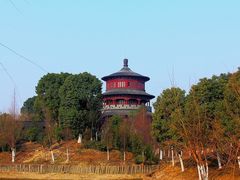-八大山人梅湖景区