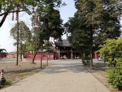 -龙抄手(文殊坊店)