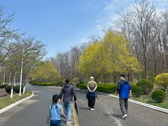 -辽宁团山国家级海洋公园