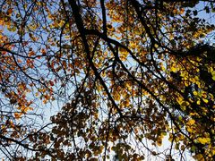 -北京西山国家森林公园