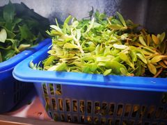 -老味道1992(武当山店)